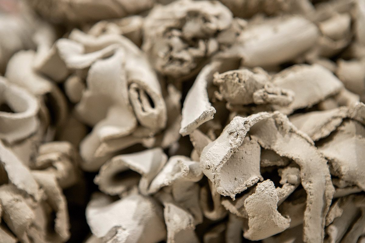 clayver-IMG_4811